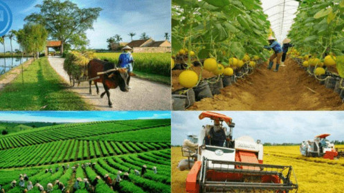 Triển vọng ngành xuất khẩu nông sản
