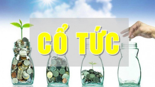 Cổ phiếu cổ tức – món ăn hấp dẫn