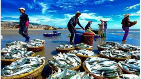Các nước thành viên RCEP chiếm trên 63% thị phần xuất khẩu thủy sản của Việt Nam
