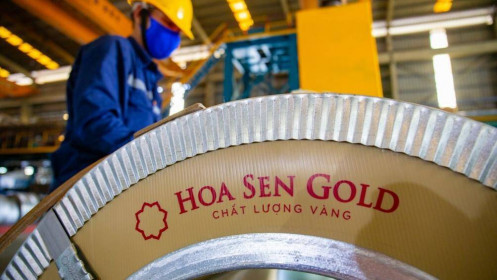 HSG- Hoa Sen có thể nở lại không?