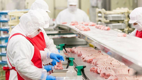 Ngành sản xuất và chế biến thịt: Khó khăn nối tiếp khó khăn