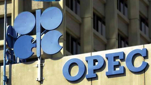 Dầu giảm giá, NĐT chờ đợi cuộc họp từ OPEC+