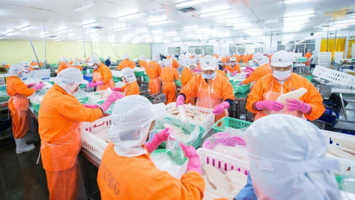 Công ty cổ phần Nam Việt