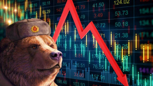 Bear Market: Đi săn gấu
