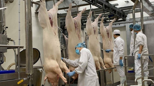 Hàng loạt thị trường chủ chốt khó khăn, xuất khẩu thịt của Việt Nam sụt giảm mạnh