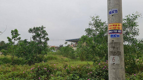 Rộ tình trạng "bỏ cọc" đất ở Quảng Trị