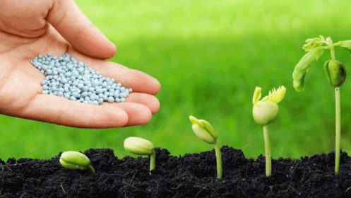 DPM: Ổn định, chắc chắn, hiệu quả