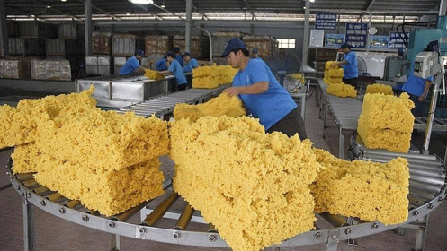 Khó xuất, thị phần cao su Việt Nam trong tổng nhập khẩu của Trung Quốc giảm mạnh