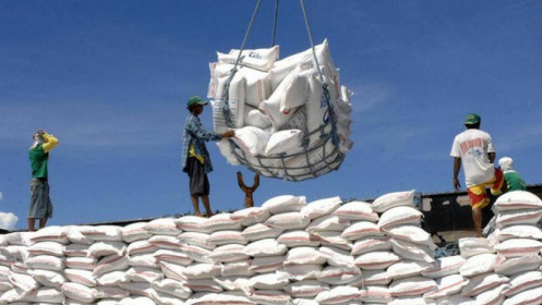 Lo ngại Ấn Độ hạn chế xuất khẩu gạo, các nhà nhập khẩu tăng cường mua vào