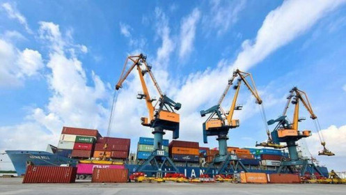 Công ty Cổ phần Vận tải và Xếp dỡ Hải An (HAH): Các tuyến dịch vụ Nội Á mở ra cơ hội tăng trưởng mới