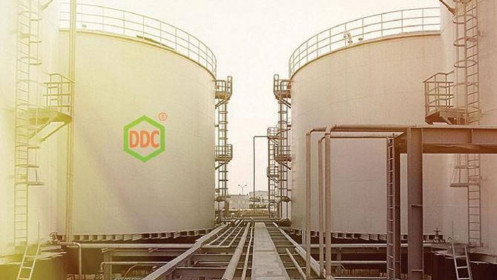 DGC muốn rót hơn 57,000 tỷ đồng đầu tư 2 dự án ở Đắk Nông