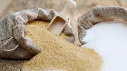 Thị trường nông sản tuần qua: Giá lúa ổn định, cà phê giảm nhẹ