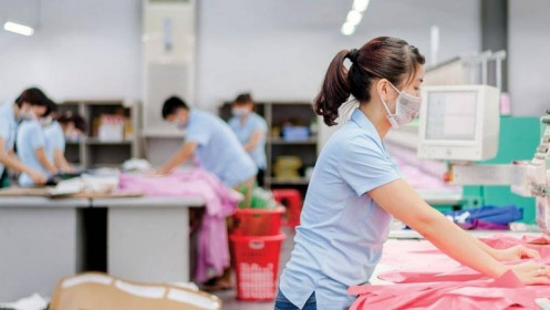 MSH- Kì vọng bứt phá giai đoạn tới
