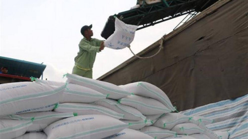 Xuất khẩu gạo tăng trưởng mạnh, cổ phiếu ngành gạo có hưởng lợi?