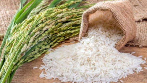 Giá gạo Thái Lan đứng "Top đầu", xuất khẩu tháng 5 tới 650.000 tấn, gạo Việt Nam thì sao?