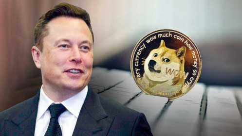 Dogecoin lại bật tăng nhờ Elon Musk