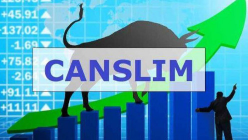 Cách lựa chọn cổ phiếu theo phương pháp CANSLIM