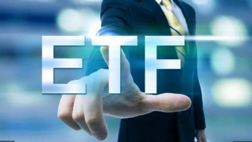 KIM Việt Nam thành lập quỹ ETF mô phỏng chỉ số VNFINSELECT