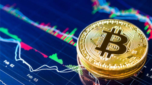 Bitcoin giúp dự báo đáy chứng khoán