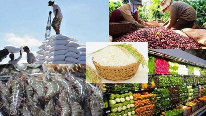 6 tháng đầu năm, kim ngạch xuất khẩu nông, lâm, thủy sản đạt 28 tỷ USD