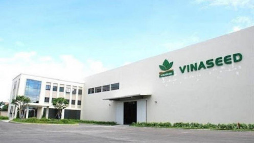 Vinaseed chốt quyền cổ tức bằng tiền đợt 1/2021 tỷ lệ 40%
