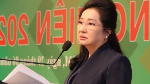 Bà Nguyễn Thị Như Loan muốn cổ đông 'hiến kế' đòi sổ đỏ Phước Kiển