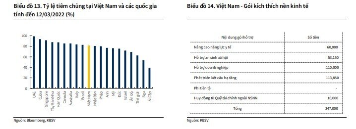 Cổ phiếu ngành nào đáng xuống tiền cho nửa cuối năm 2022?
