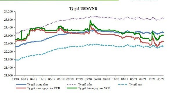 VCBS: Tiền VND có xu hướng mất giá so với đồng USD