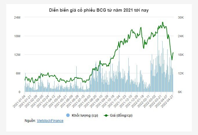 Bamboo Capital (BCG) báo lãi quý 1 tăng 221%, giảm tỷ lệ đòn bẩy tài chính