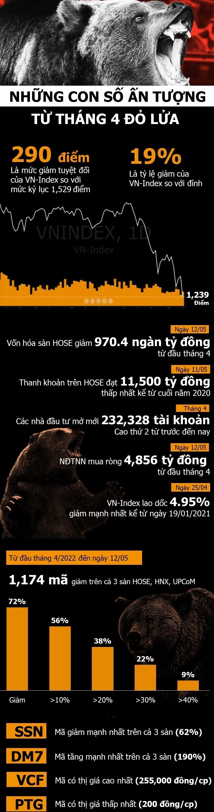 Chứng khoán Việt Nam bước vào thị trường con gấu