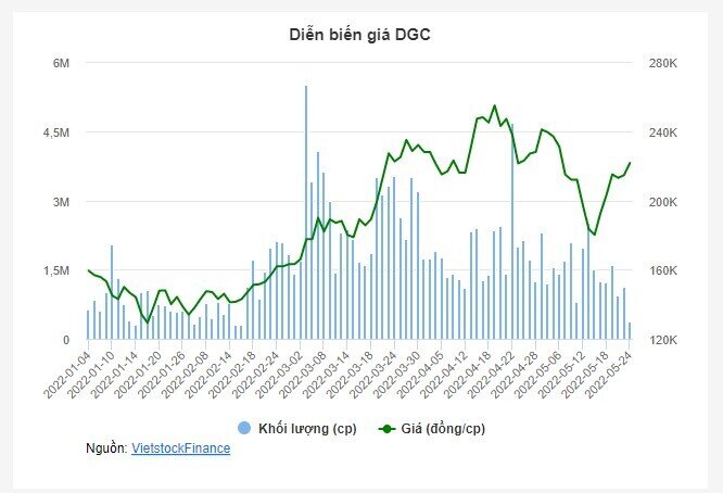 DGC sắp phát hành hơn 200 triệu cp để trả cổ tức