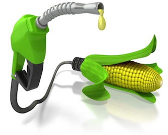 Nhu cầu nhiên liệu sinh học tăng cao của Hoa Kỳ gây áp lực nặng nề lên tình trạng thiếu lương thực toàn cầu