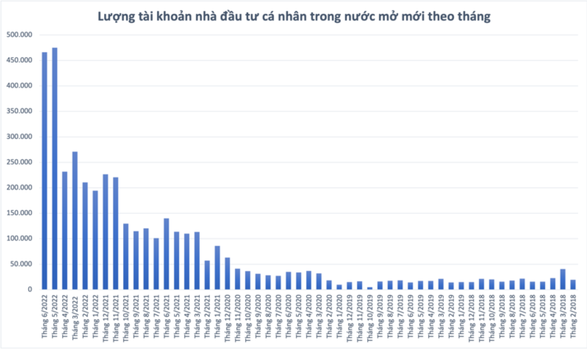 Nhà đầu tư cá nhân đang chờ đợi điều gì?