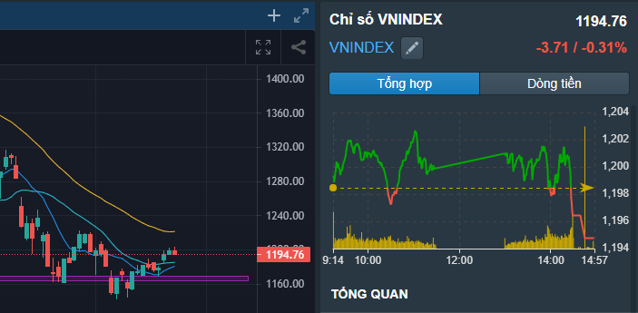Phiên kết tuần 22/7
