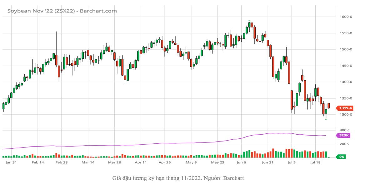 Sản lượng đậu tương ở Brazil kì vọng cao nhất mọi thời đại trong năm 2023