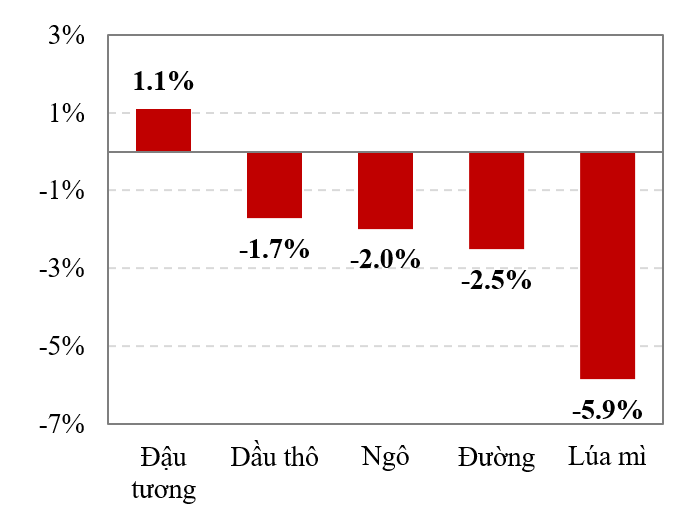 Sản lượng đậu tương ở Brazil kì vọng cao nhất mọi thời đại trong năm 2023