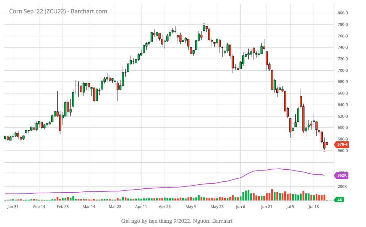 Sản lượng đậu tương ở Brazil kì vọng cao nhất mọi thời đại trong năm 2023