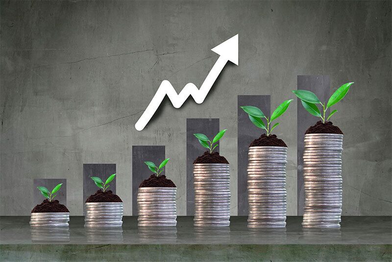 Đầu tư tăng trưởng là gì?