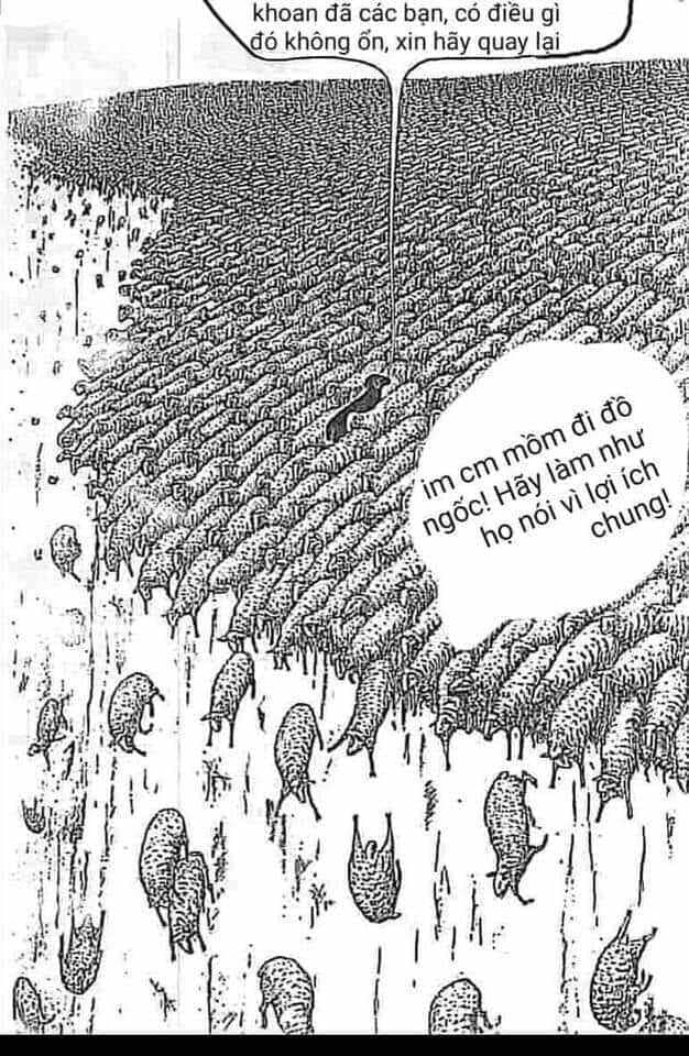 Đám đông thường xuyên đúng hay sai? Bạn nên đi theo hay đi ngược đám đông?