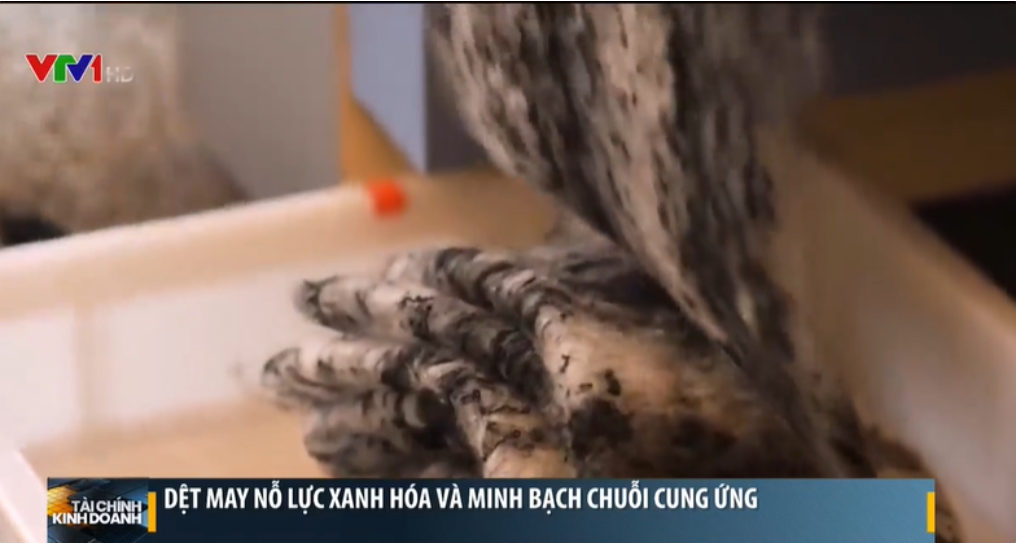 STK - Mọi Thứ Bạn Cần Biết Về Sợi Thế Kỉ (STK) Trước Chính Sách Từ EU. EU đưa ra yêu cầu đến hết năm  ...