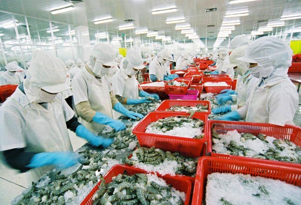 Thị trường 8/8-12/8 sẽ có gì?  (Phần 2)