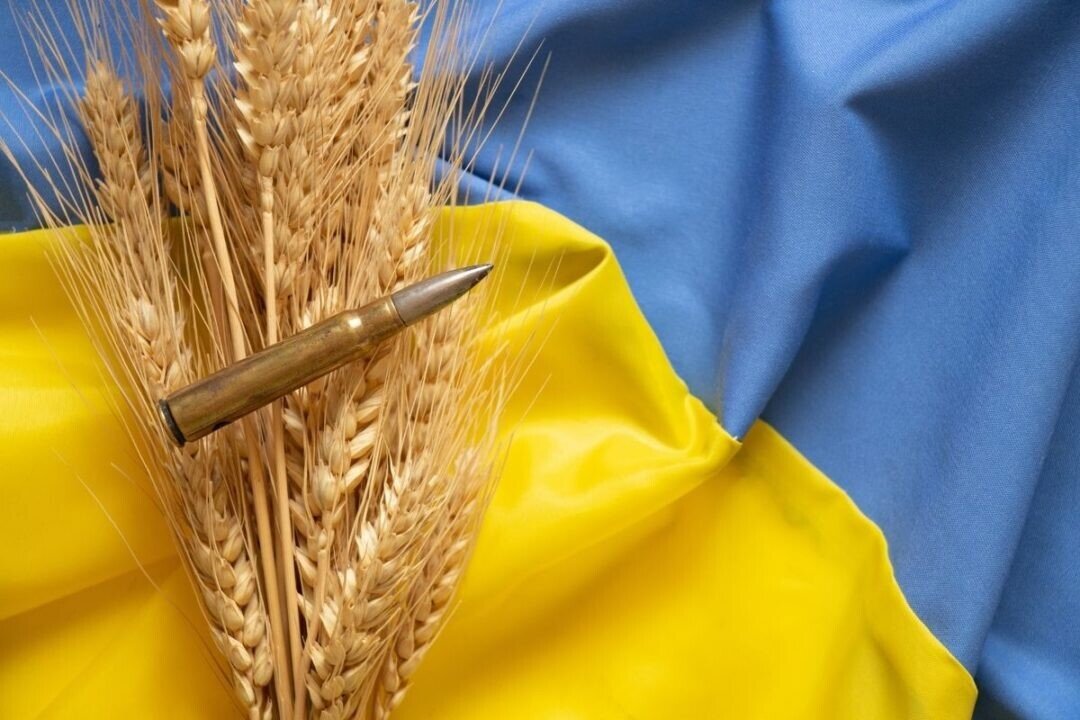 Xuất khẩu ngũ cốc khởi sắc tại Ukraine, gây áp lực lên giá lúa mì