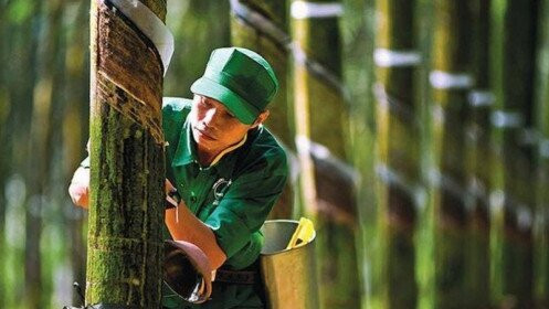 Cổ phiếu lưu ý đi theo trung hạn