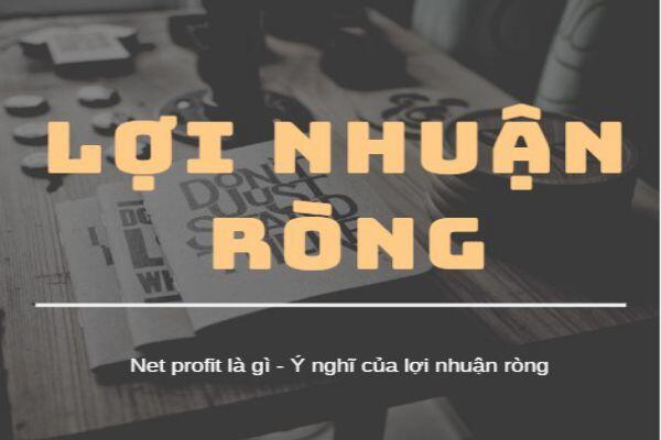 Bạn đã thực sự hiểu về lãi ròng và cách tính chưa?. Lãi ròng là gì? Có phải là lãi thuần từ hoạt động  ...