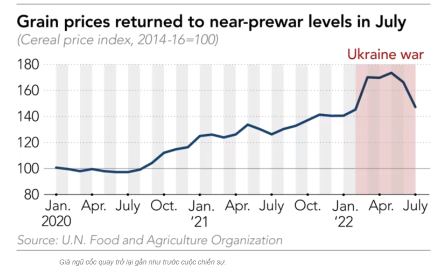 6 tháng chiến sự ở Ukraina: Giá ngũ cốc liệu sẽ giảm?
