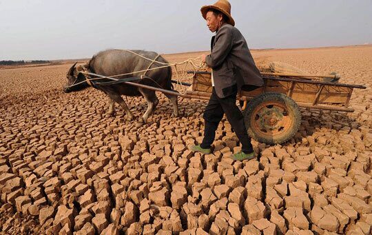 TRUNG QUỐC ĐỐI MẶT NGUY CƠ HẠN HÁN NGHIÊM TRỌNG KÉO DÀI - NGÀNH NÀO CHÚ Ý THỜI GIAN TỚI. Hạn hán đã  ...