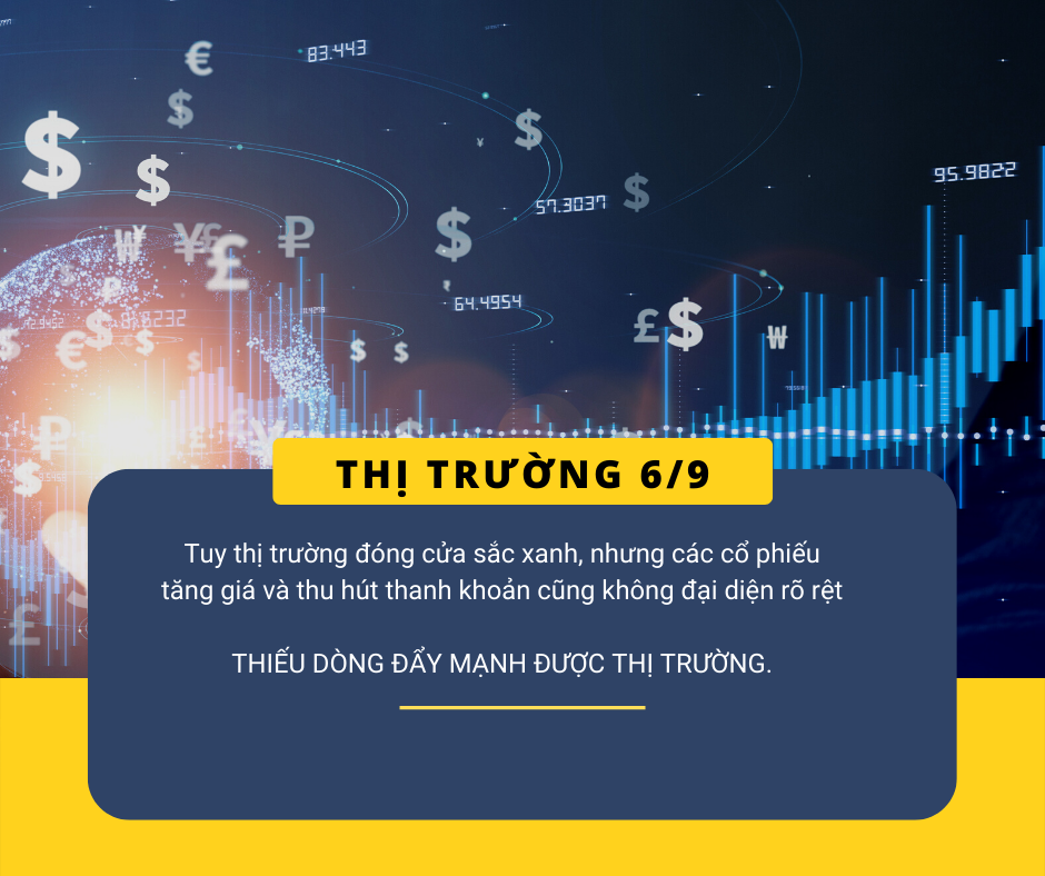 Thị trường chứng khoán 6/9: Thiếu dòng dẫn dắt, VNindex "nhích nhẹ"  0.05 điểm