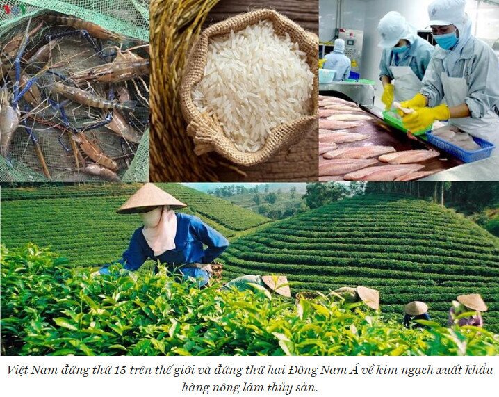 Xuất khẩu nông sản của Việt Nam sang Bắc Âu còn khiêm tốn, vì sao?