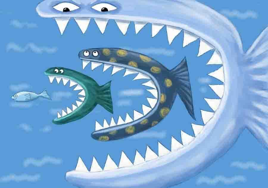 Bí mật về cá mập và lý thuyết săn mồi