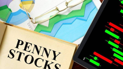 2 yếu tố cần chú ý khi đầu tư vào cổ phiếu penny